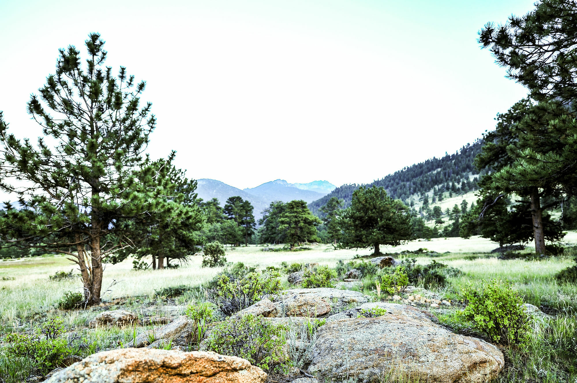 The Historic Crag'S Lodge Estes Park Extérieur photo